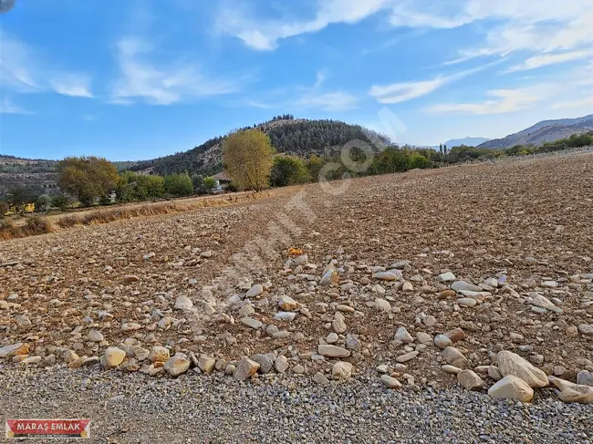 Lands for sale near ALTINOVA by MARAŞ EMLAK