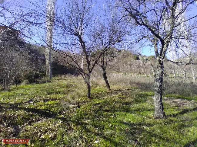 3 acres with a single title deed for sale in DEREKÖY from MARAŞ EMLAK