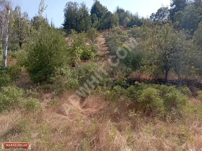 MARAŞ EMLAKATAN YENİCEKALE DEMREK TE SATILIK BAĞ YERİ