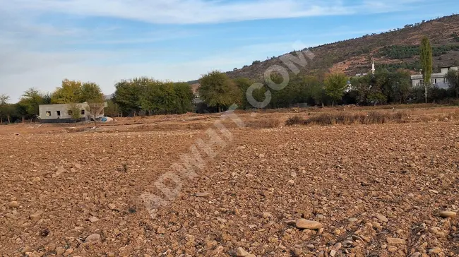 أراضي للبيع بجوار ALTINOVA من MARAŞ EMLAK