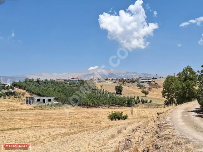 4 donums of registered land and 6 donums of land for use in the ELMALAR area from MARAŞ EMLAK.