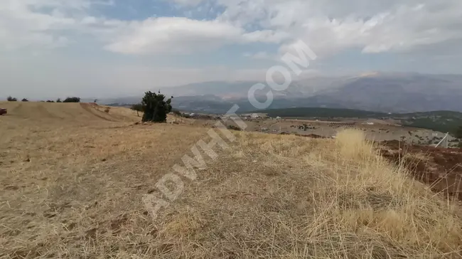 MARAŞ EMLAKTAN ELMALARDA TEK TAPU ARAZİ...