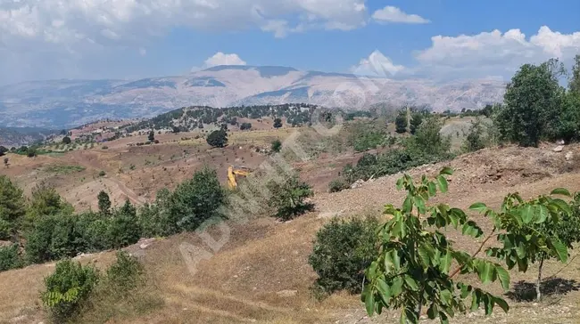 Land for sale with an area of 9 dunams in the KUZUCAK neighborhood from MARAŞ EMLAK