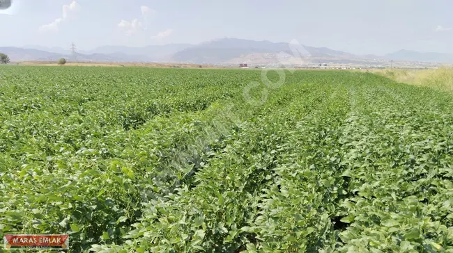 MARAŞ EMLAKTAN ADANA YOLU ÜZERİ TEK TAPU ARAZİ...