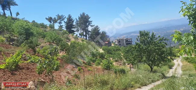 A vineyard and a house with five acres overlooking the dam in SARIÇUKUR - from MARAŞ EMLAK.