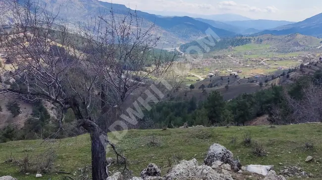 MARAŞ EMLAKTAN TEKİR DE SATILIK 6390 M2 ARAZİ