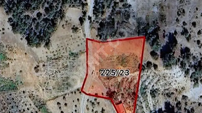 Land with a single title deed for sale between SUÇATI -TEKİR from MARAŞ Real Estate.