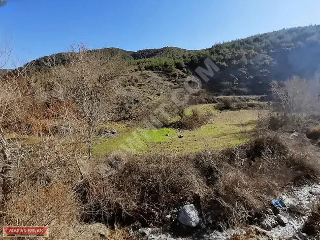 MARAŞ EMLAKTAN ELMALARDA SU KENARI TEK TAPU BAHÇE