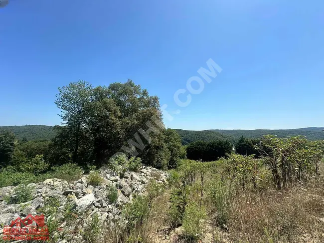 Architectural land for sale in the Mahmut Şevket Paşa Cenaplar area.