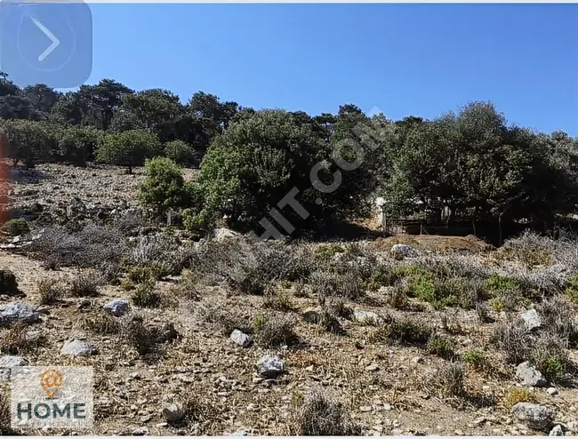 Agricultural land with an area of 3797 square meters in FETHIYE SEYDIKEMER