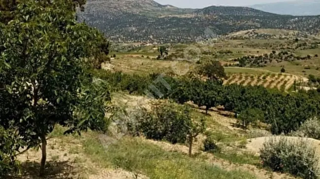 Fruit orchard for sale with an area of 19,200 square meters in the village of MUT ÖZLÜ, with the possibility of exchange with a car.