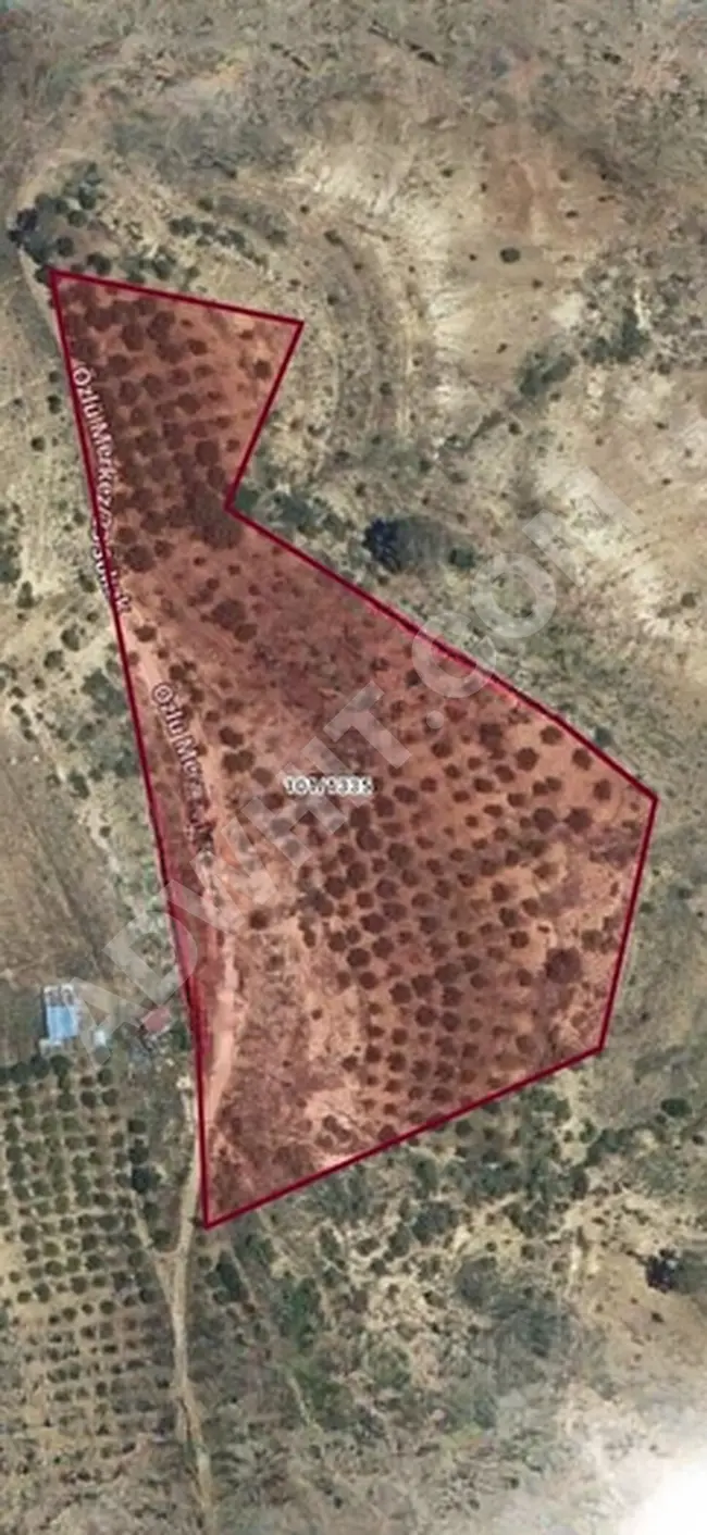 Fruit orchard for sale with an area of 19,200 square meters in the village of MUT ÖZLÜ, with the possibility of exchange with a car.