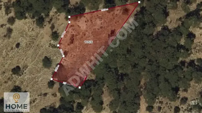 Agricultural land with an area of 3797 square meters in FETHIYE SEYDIKEMER