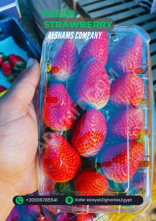 fresh strawberry