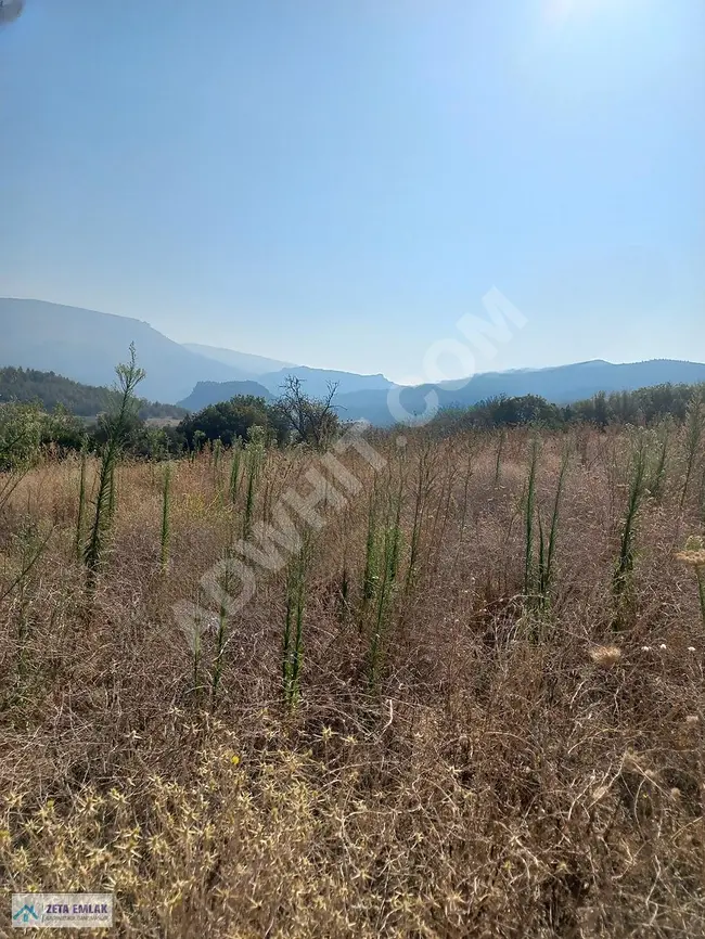 Agricultural land with a 5% building ratio in the village of BİLECİK SÖĞÜT GEÇİTLİ