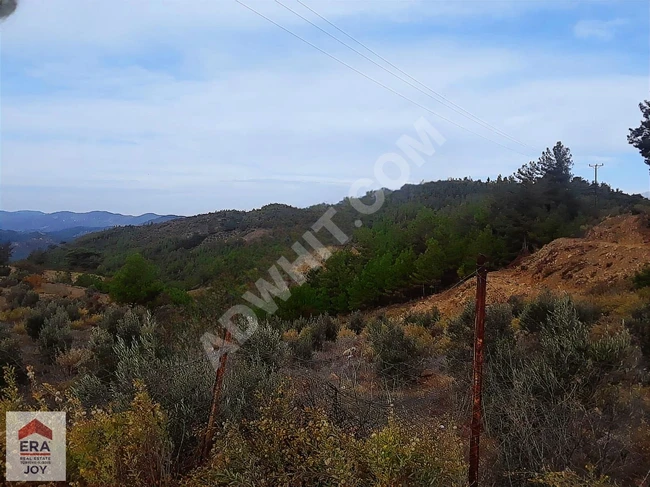 Land for sale within a residential area in the village of GAZİPAŞA ILICA, facing the main road with 140 meters.