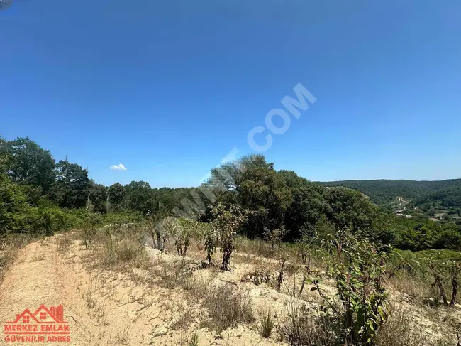 Architectural land for sale in the Mahmut Şevket Paşa Cenaplar area.