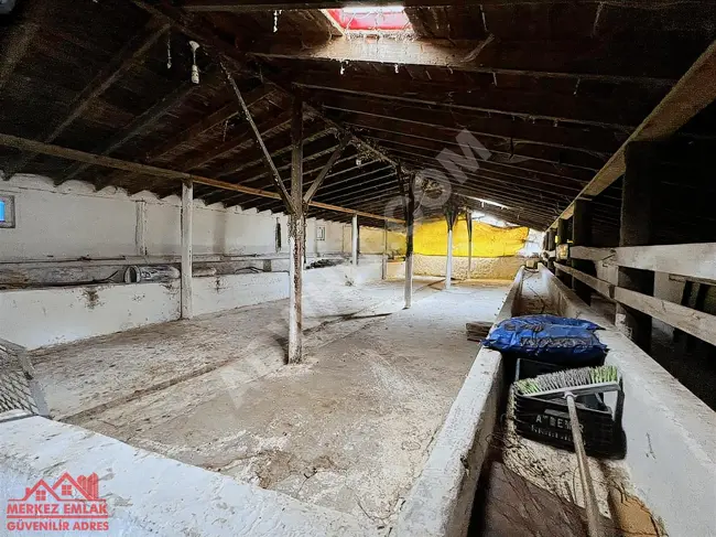 Warehouse for rent with an area of 3,500 square meters in Beykoz İshaklı.