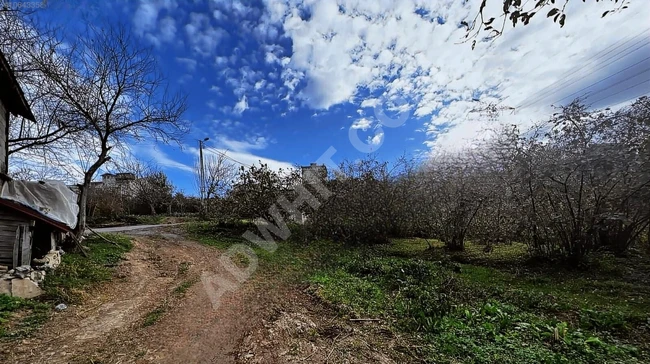 أرض للبيع بمساحة 1,480 متر مربع في BEYKOZ ÖRNEKKÖY