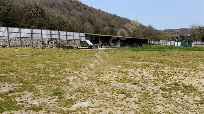 BEYKOZ İSHAKLI'DA KİRALIK 3.500 m2 DEPO ANTREPO