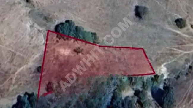 Opportunity: Agricultural land for sale in BURSA BÜYÜKORHAN