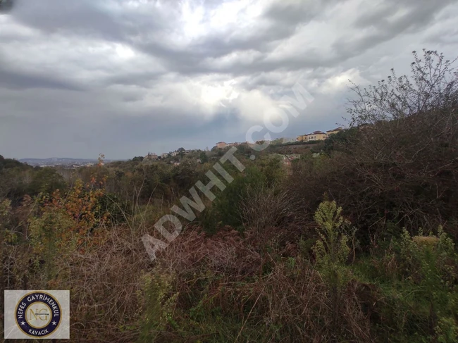 Land with Urban Planning for a Villa E:0.45 - Second Floor. 778 m2 for building 4 villas in BAKLACI