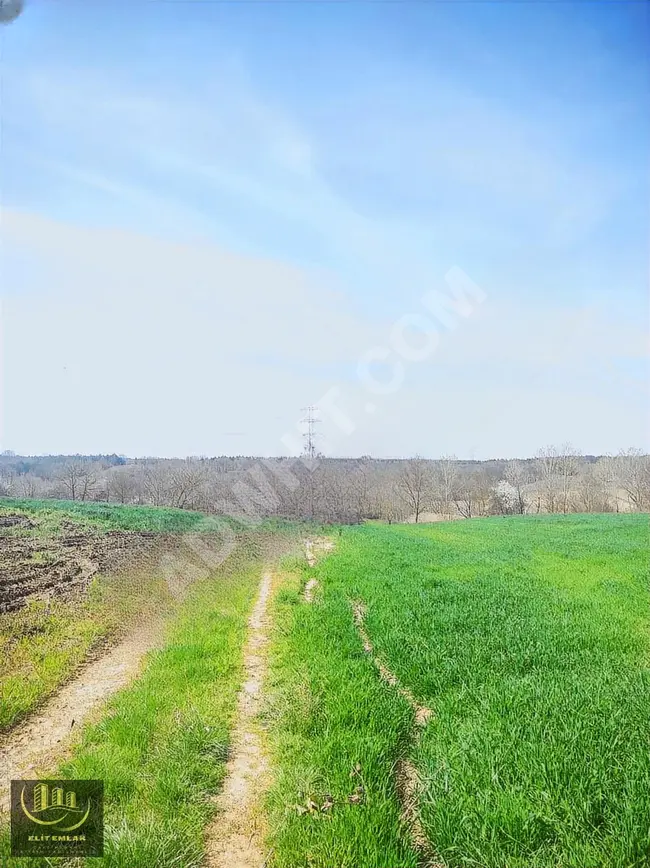 Land for sale with an area of 2 donums suitable for investment in LÜLEBURGAZ.