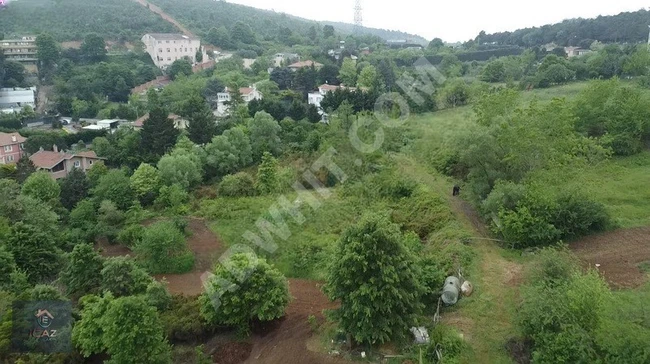 A residential plot measuring 1200 m² in the heart of nature, located in the Beykoz Baklacı area.