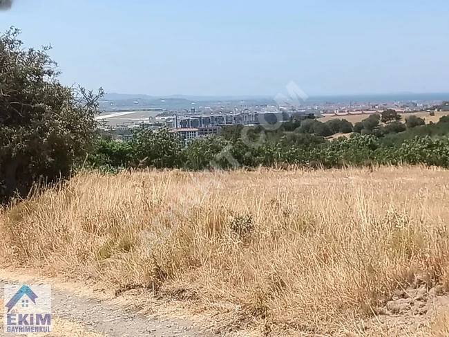 Land for sale in shares in the SARI area in the village of ÇANAKKALE KARACAÖREN