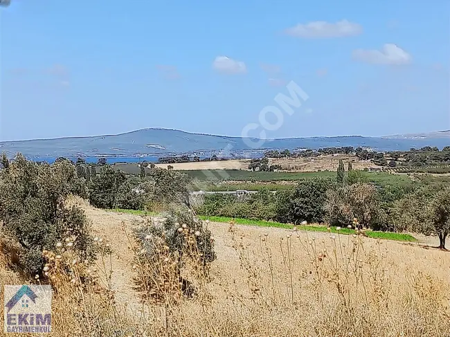 Land for sale in Aklala, Moudaig, Bahsa, in the village of Yapıldak, in the center of Çanakkale.