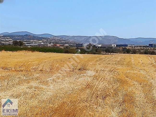 Land for sale in shares in the SARI area in the village of ÇANAKKALE KARACAÖREN