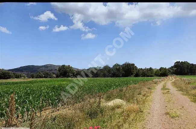 A plot of land measuring 4546 square meters in a beautiful location in KOCAELİ KÖRFEZ.