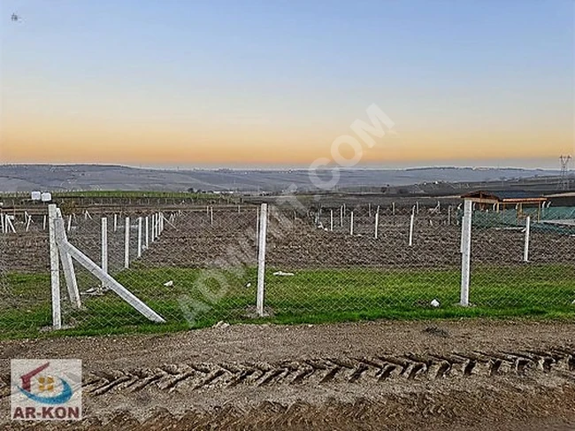 واجهة على طريق معروفة ومسجلة على مساحة 376 متر مربع في منطقة BALABAN