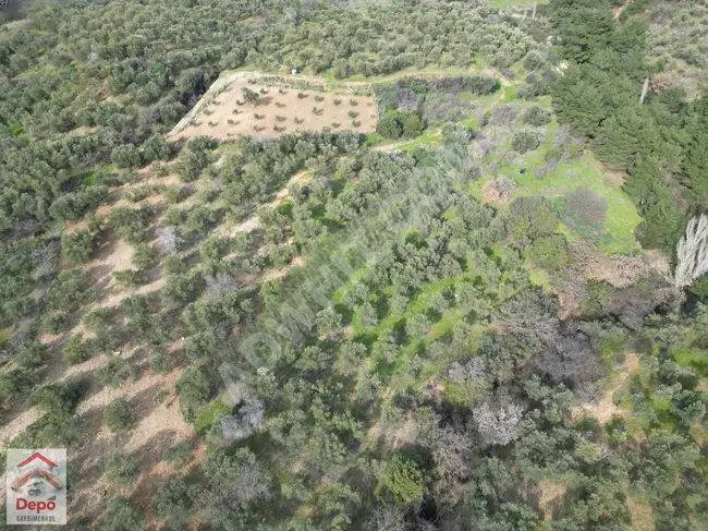 في جوهرة تركيا Assos   بستان زيتون للبيع