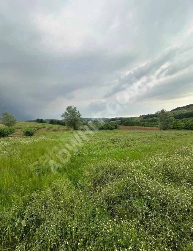 A land with an area of 996 square meters for sale by the owner in "KOCAELİ KANDIRA İNCECİK".