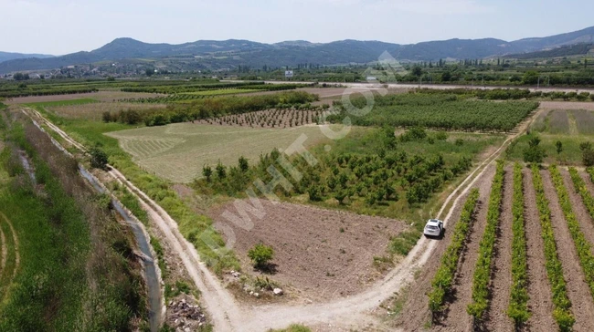 Sakarya Pamukova Satılık Emsalsiz Resmi Yolu Var Su Kanalı Var Köşe Parsel Köye Çok Yakın