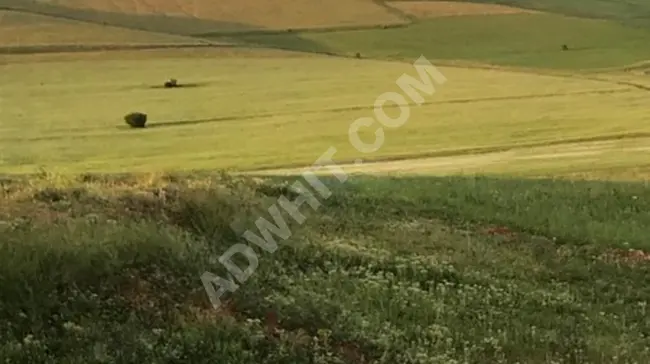 Land for sale in BAYBURT - a working farm - located 8 km from the center