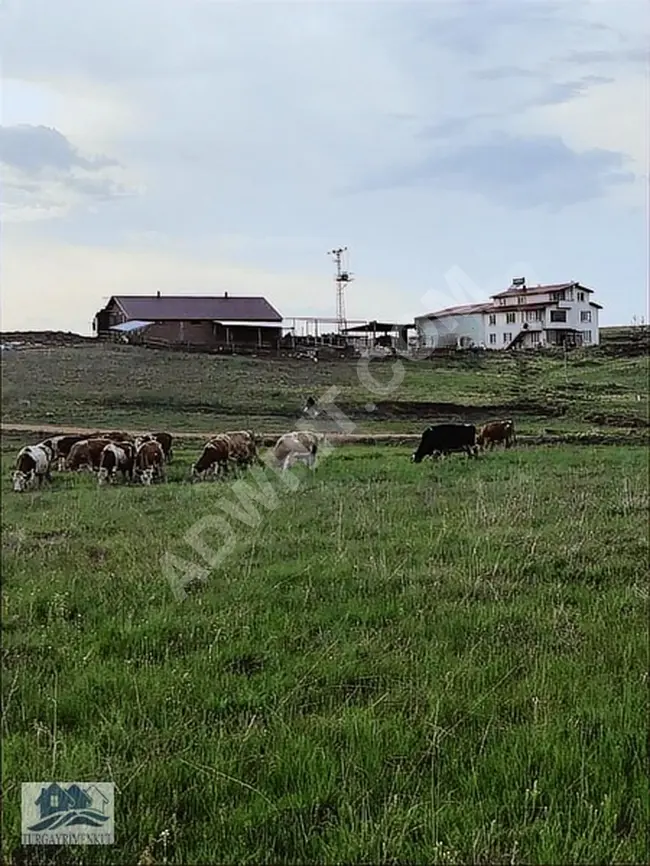 Land for sale in BAYBURT - a working farm - located 8 km from the center