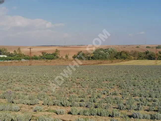 ÇORLU HAVALİMANINA 1300 MT MESAFEDE-ŞAH EMLAK