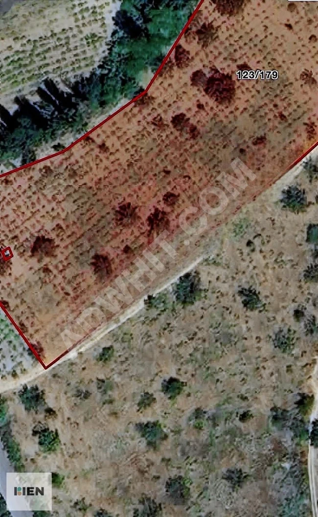 A fruit orchard with an area of 9300 square meters in Tekirdağ Şarköy Çınarlı