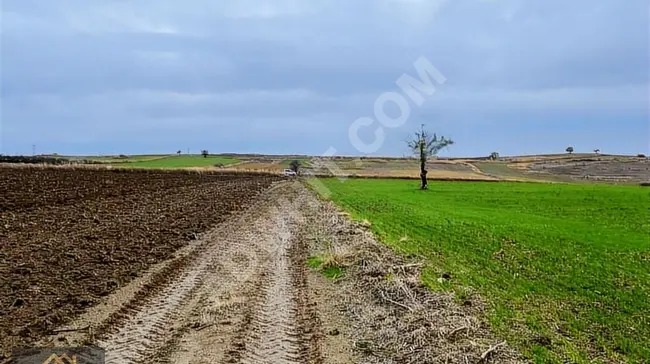 قطعة أرض بمساحة 552 متر مربع مع إطلالة غير محجوبة على المضيق وطرق وصول متوفرة في GELİBOLU BOLAYIR