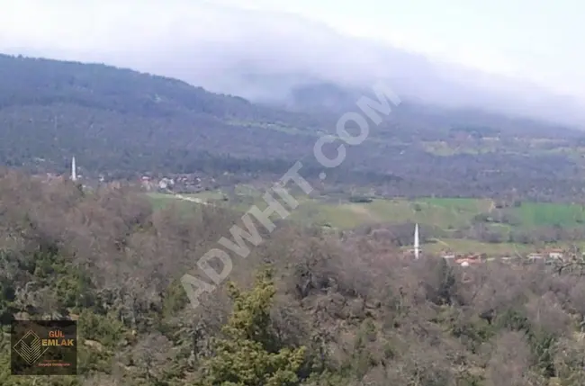 Private agricultural land for sale, investment opportunity in Balıkesir Dursunbey Aşağı Yağcılar.