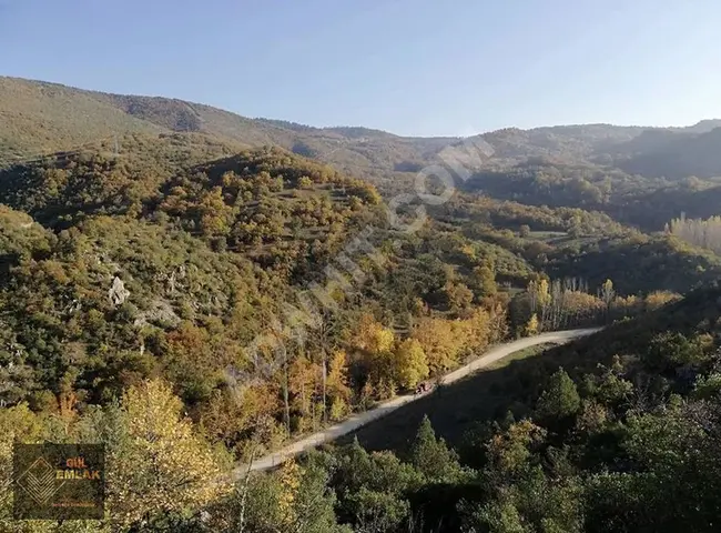 أرض زراعية فرصة استثمارية كبرى للبيع في Balıkesir Dursunbey Sarnıç