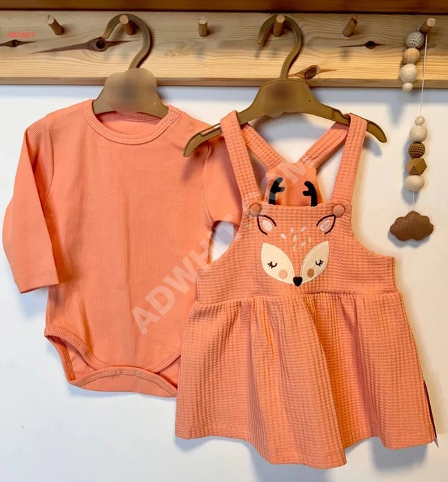 Baby dress with long-sleeved romper