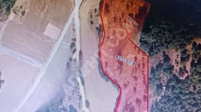 Olive plot for sale in ILIPINAR