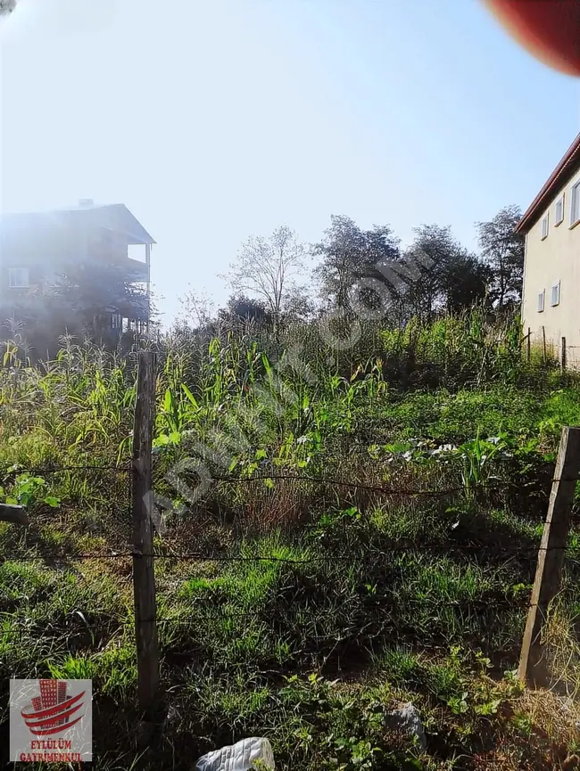 Land with an area of 981 m² for sale in KARAÇALI district, SAKARYA KAYNARCA at a price of 4,450,000 Turkish Lira.