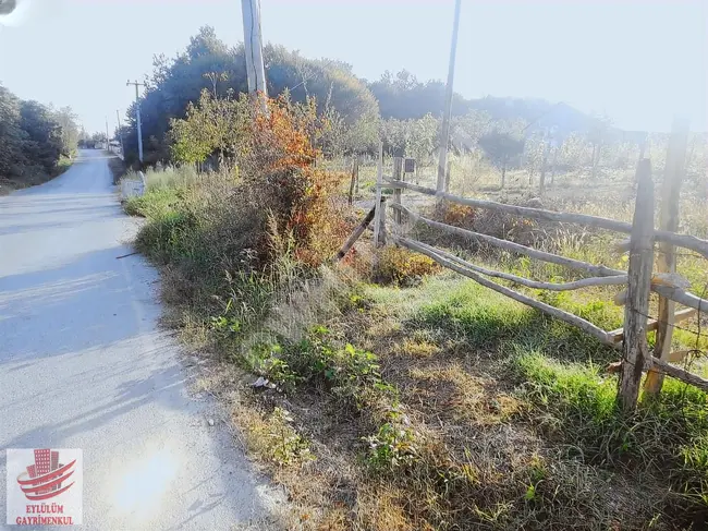 Land with an area of 981 m² for sale in KARAÇALI district, SAKARYA KAYNARCA at a price of 4,450,000 Turkish Lira.