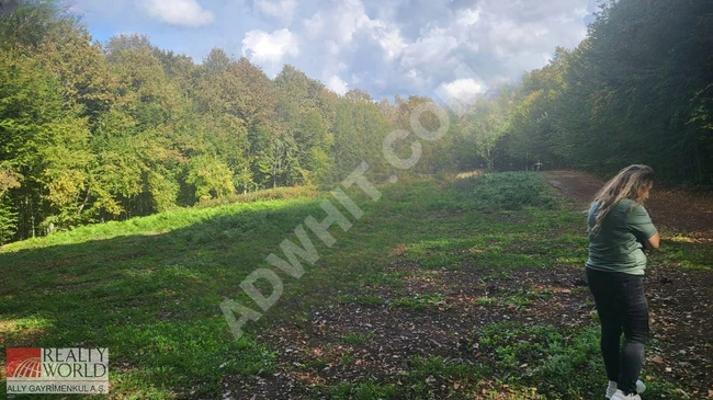 Land for construction where you can live amidst nature in Milas Çamovali Köyü.