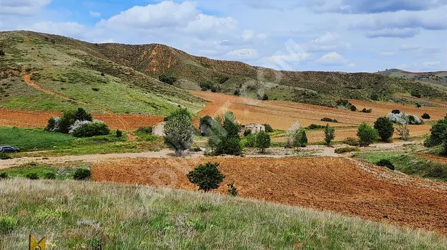 A 1401 square meter agricultural land, providing electricity, water, and access in KIRIKKALE KESKİN EROĞLU MAH