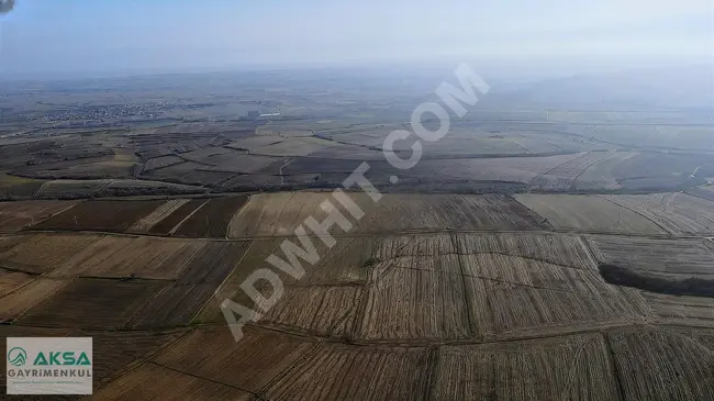 One plot of land measuring 15,800 square meters in the village of Edirne Havsa Bakışlar.